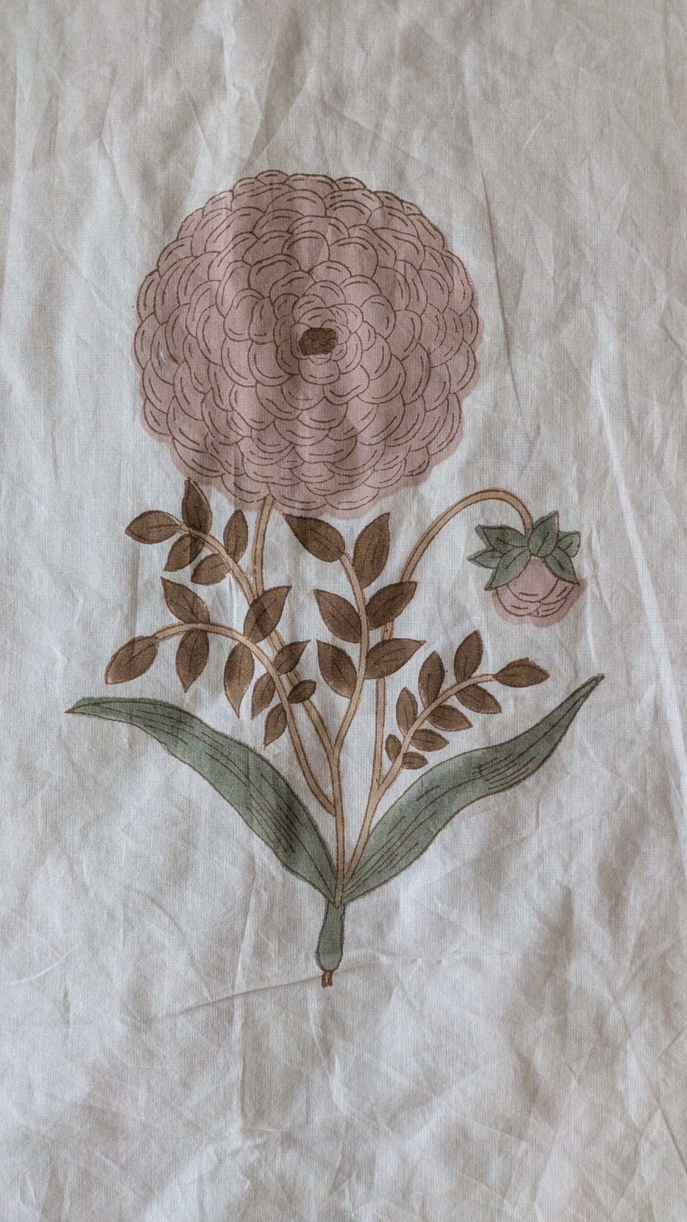 DAISY DEW DOHAR