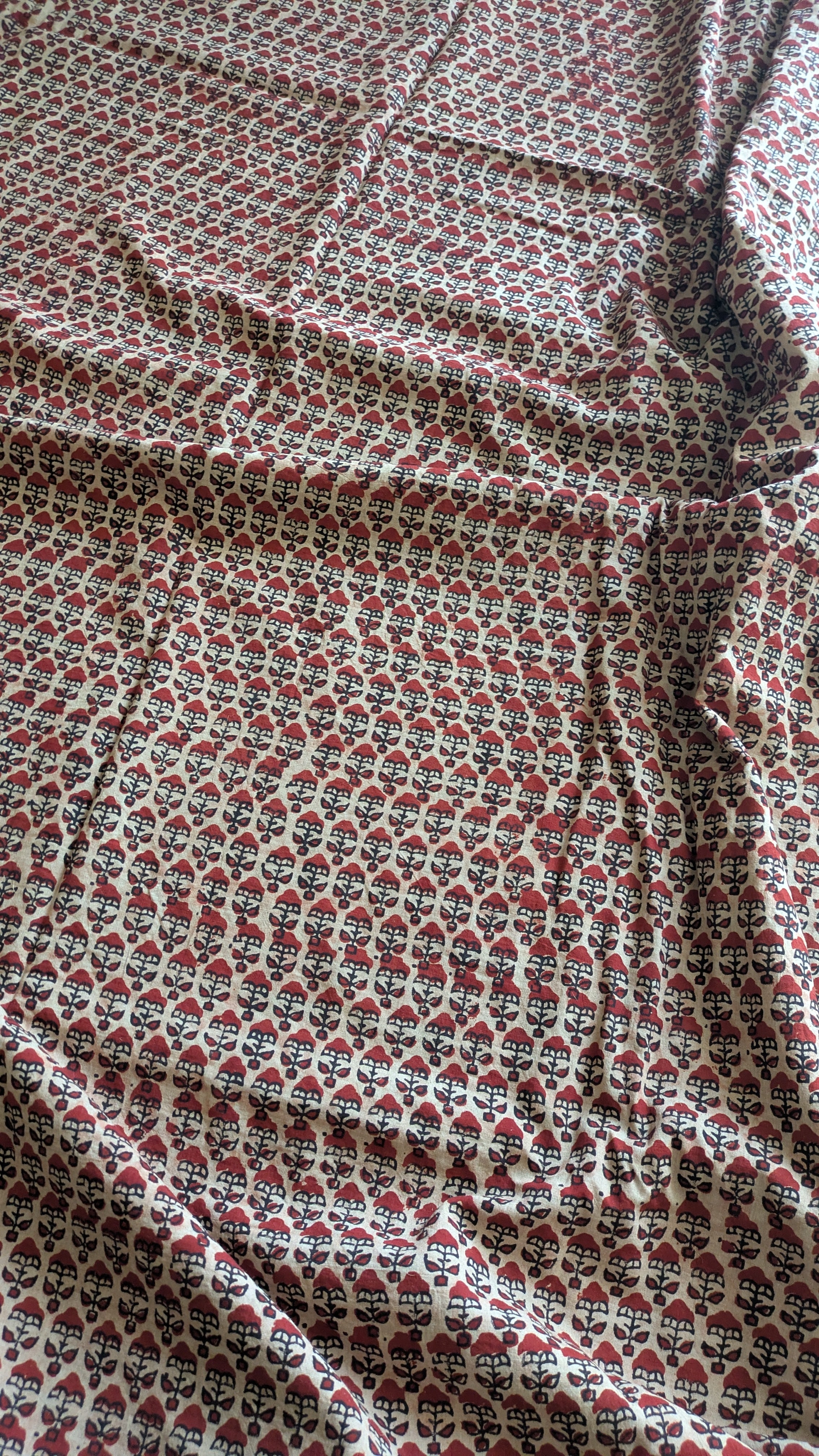 CHHOTI JARDI