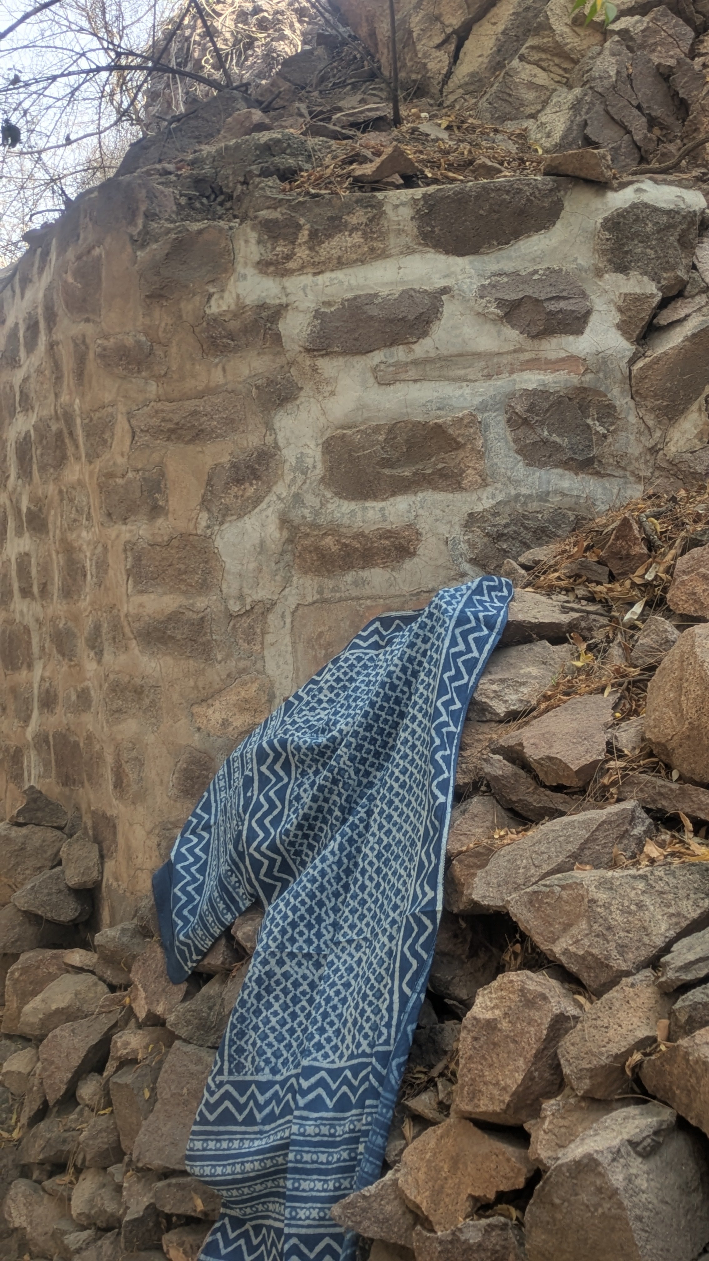 NEELA JHAAG