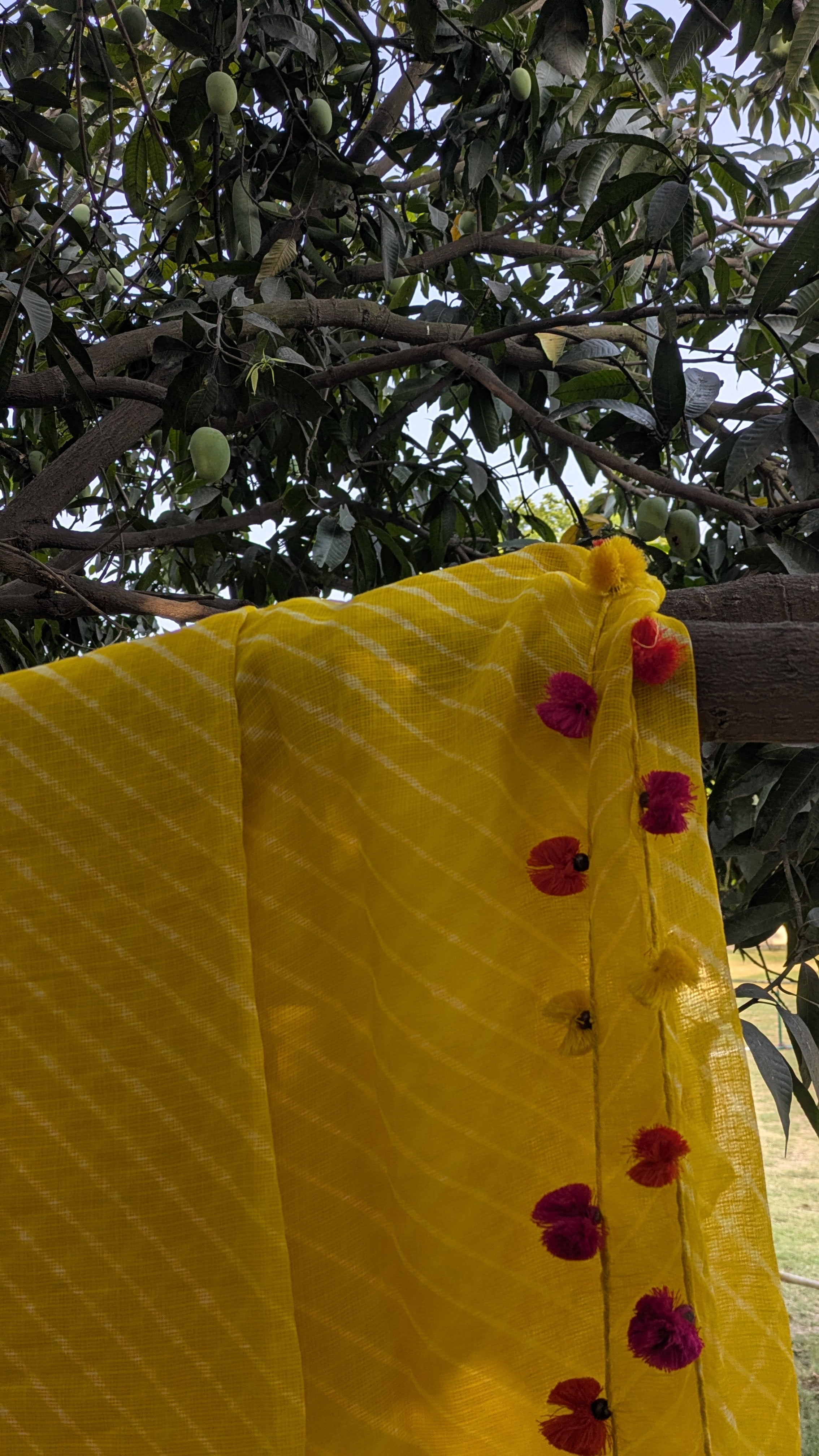 MARIGOLD
