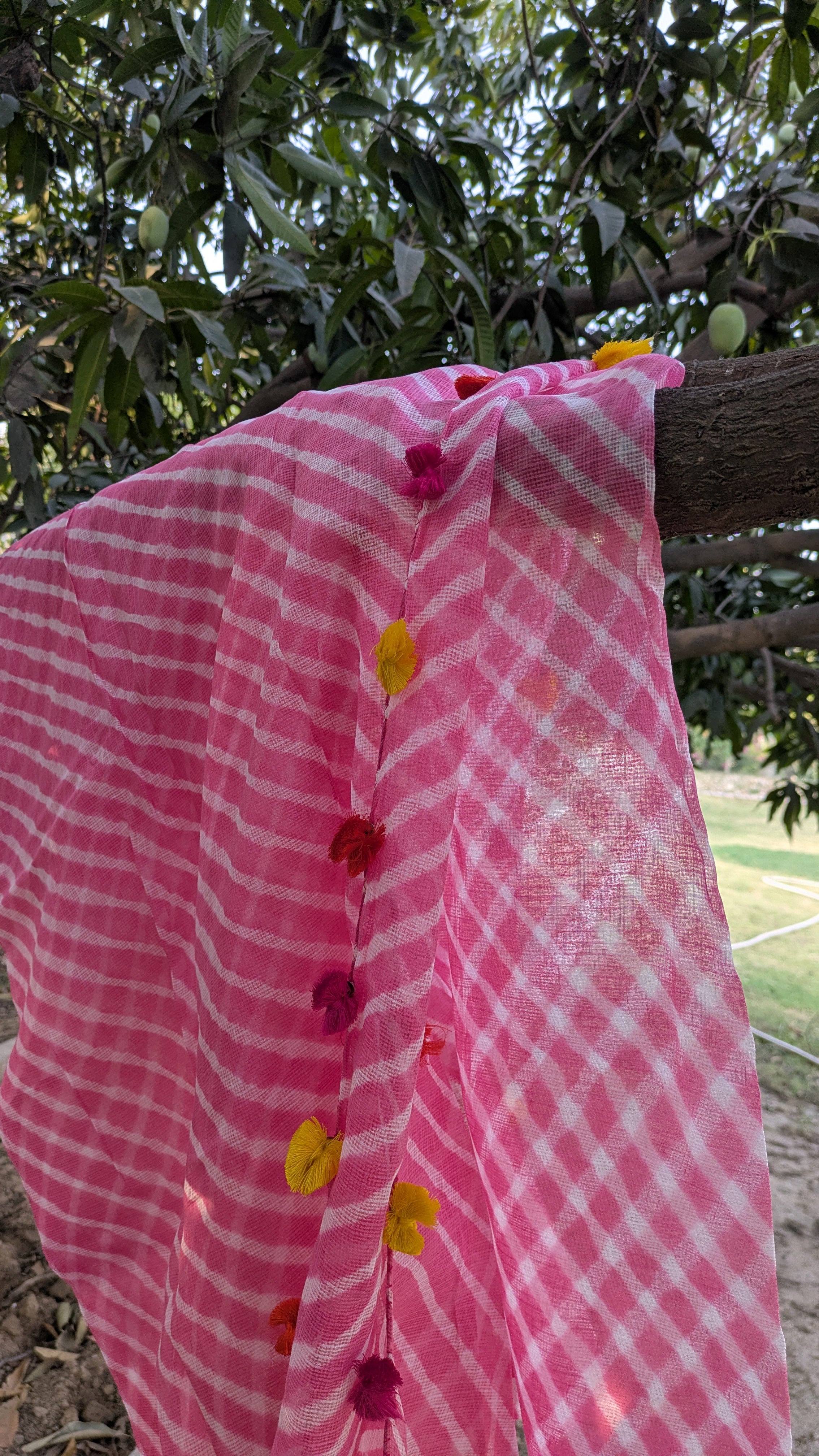 GULAABI